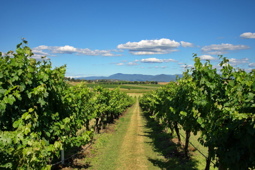 Yarra Valley